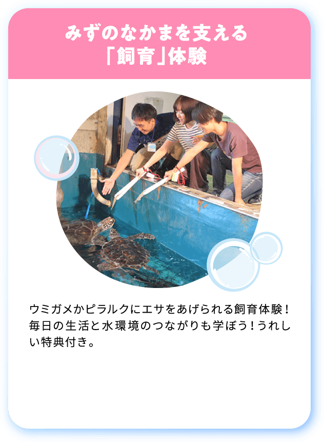 [要予約][参加無料]みずのなかまを支える
「飼育」体験