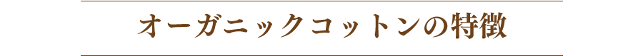 オーガニックコットンの特徴