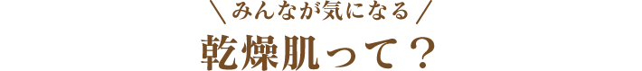みんなが気になる 乾燥肌って？
