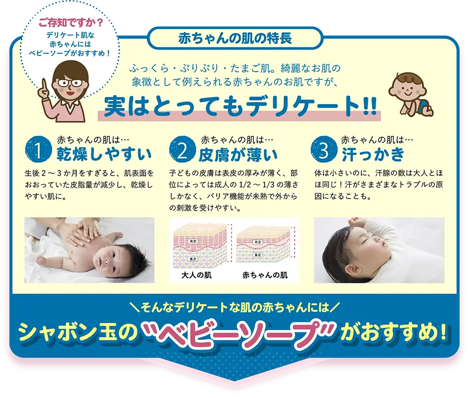 ご存知ですか？赤ちゃんのようなデリケートな肌には“ベビーソープ”がおすすめ! 赤ちゃんの肌の特長 ふっくら・ぷりぷり・たまご肌。綺麗なお肌の象徴として例えられる赤ちゃんのお肌ですが、実はとってもデリケート!! 1.赤ちゃんの肌は…乾燥しやすい 生後2～3か月をすぎると、肌表面をおおっていた皮脂量が減少し、乾燥しやすい肌に。 2.赤ちゃんの肌は…皮膚が薄い 子どもの皮膚は表皮の厚みが薄く、部位によっては成人の1/2～1/3の薄さしかなく、バリア機能が未熟で外からの刺激を受けやすい。 3.赤ちゃんの肌は…汗っかき 体は小さいのに、汗腺の数は大人とほほ同じ！汗がさまざまなトラブルの原因になることも。 そんなデリケートな肌の赤ちゃんにはシャボン玉の“ベビーソープ”がおすすめ！
