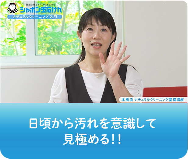 動画画像