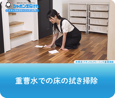 動画画像