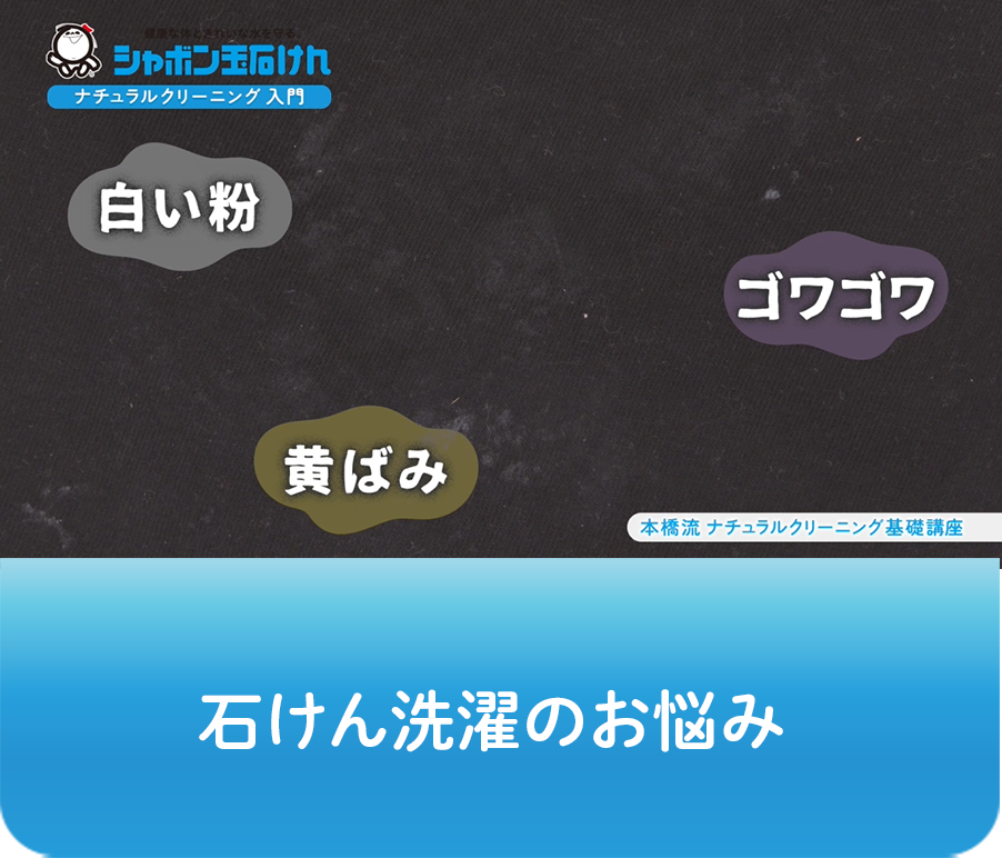 動画画像