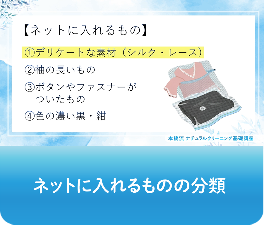 動画画像