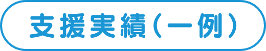 支援実績（一例）