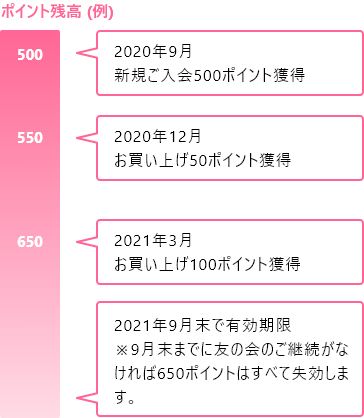 ポイント残高（例）
